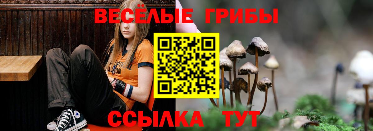 Псилоцибиновые грибы Psilocybine cubensis  Вход с VPN  Кохма 
